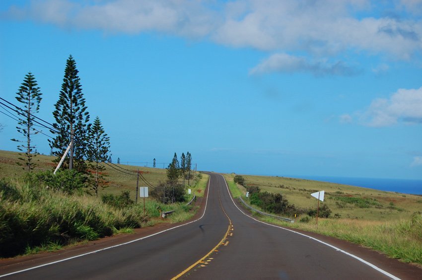 Scenery near Maunaloa