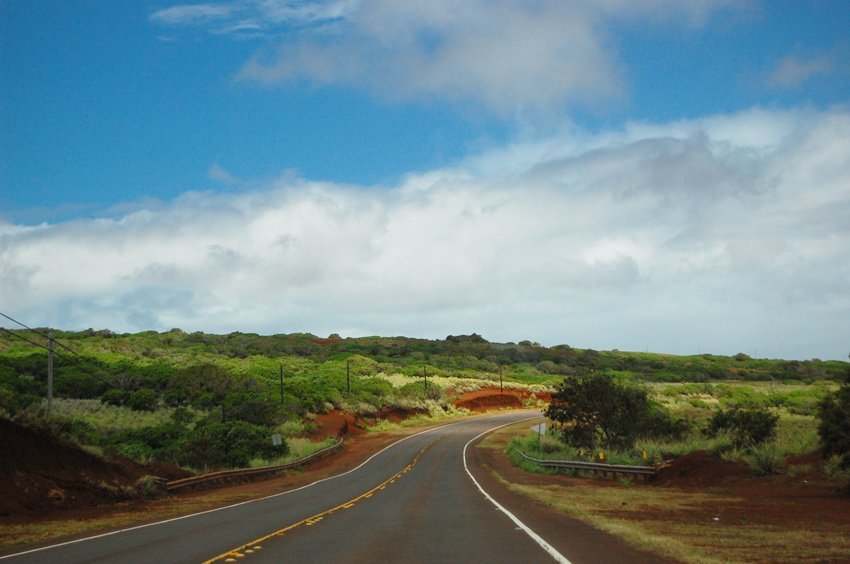 Red earth and green vegetation