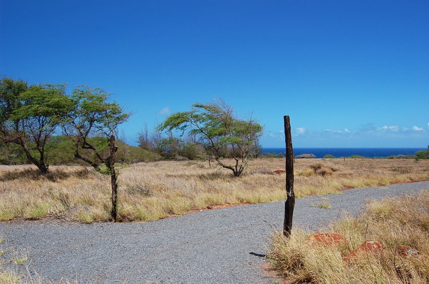 Scenic Molokai road