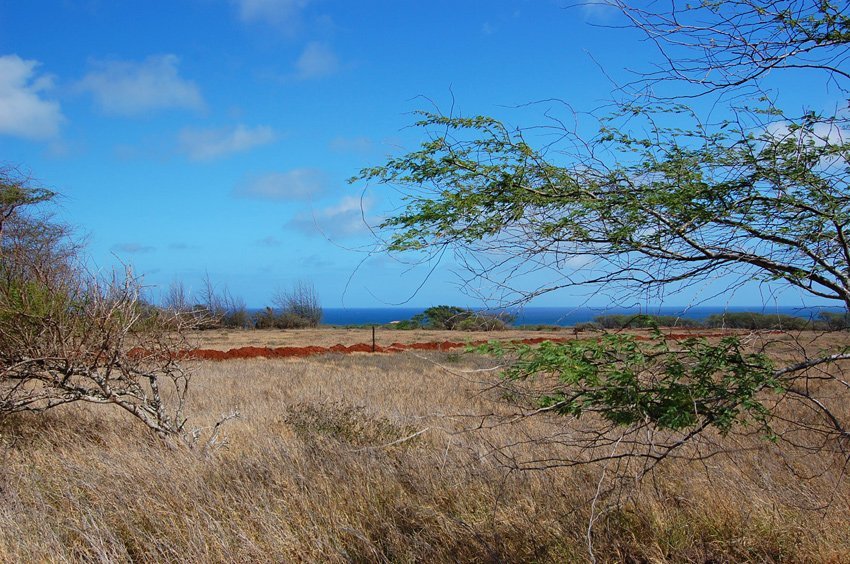 Wild Molokai scenery