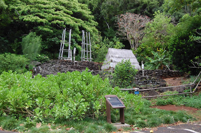 Hale O Lono Heiau