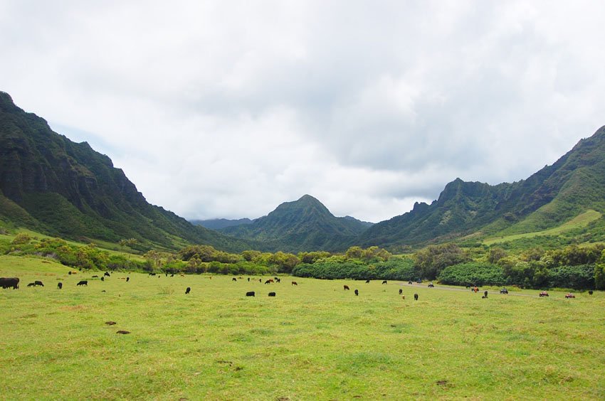 Ka'a'awa Valley on Oahu