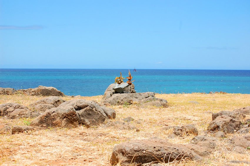 Top part of the heiau