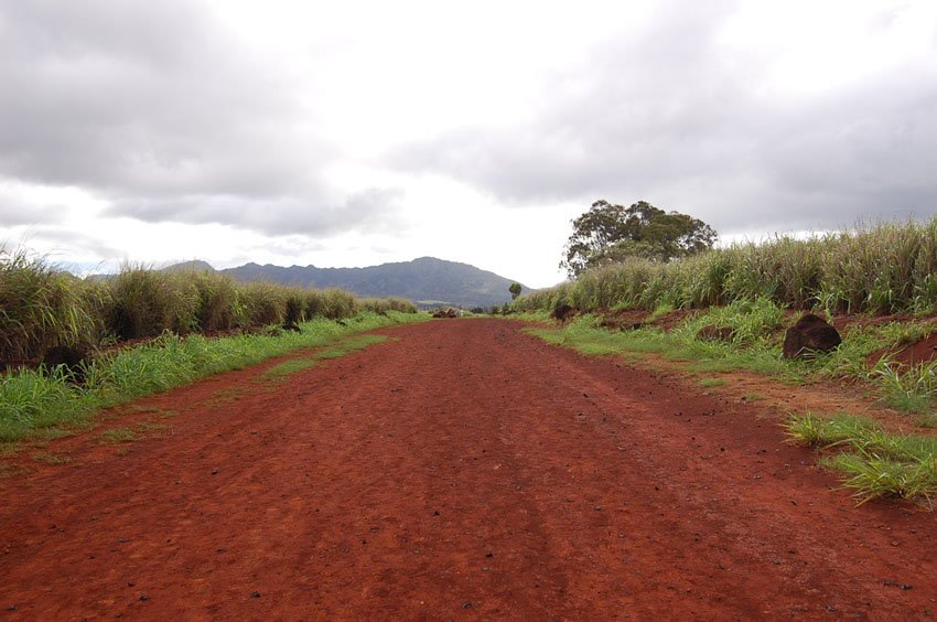 Red dirt road leads to the ancient site