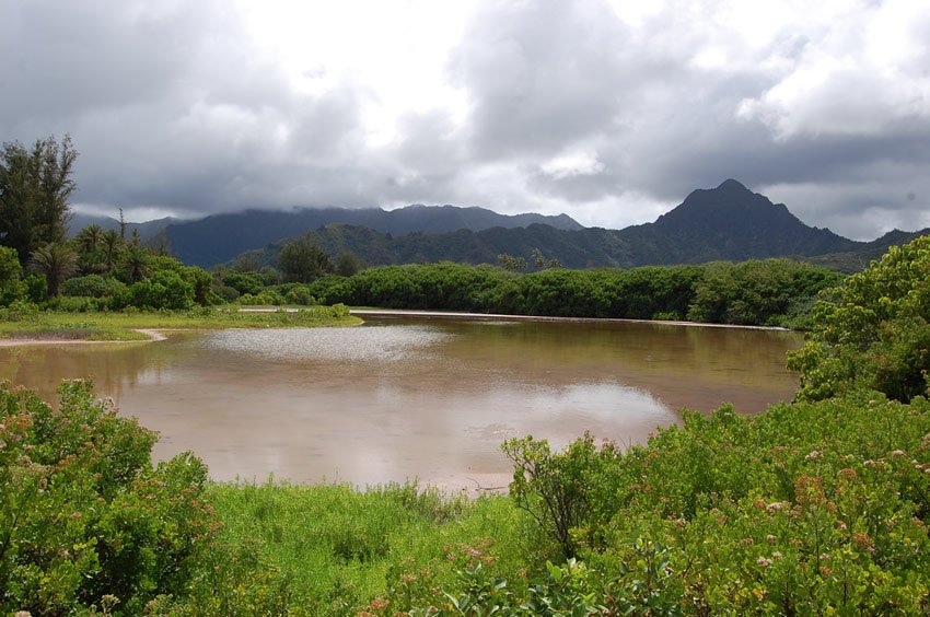 Apua Fishpond