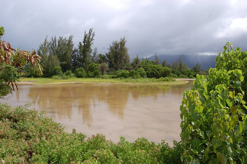 Apua Fishpond on Oahu