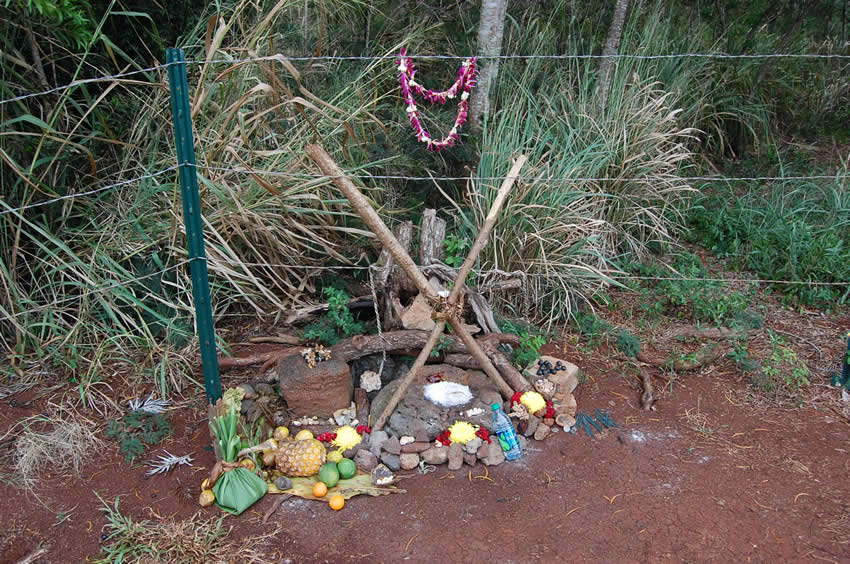 Offerings