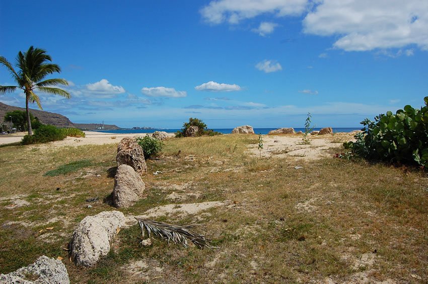 Remains of a Hawaiian settlement