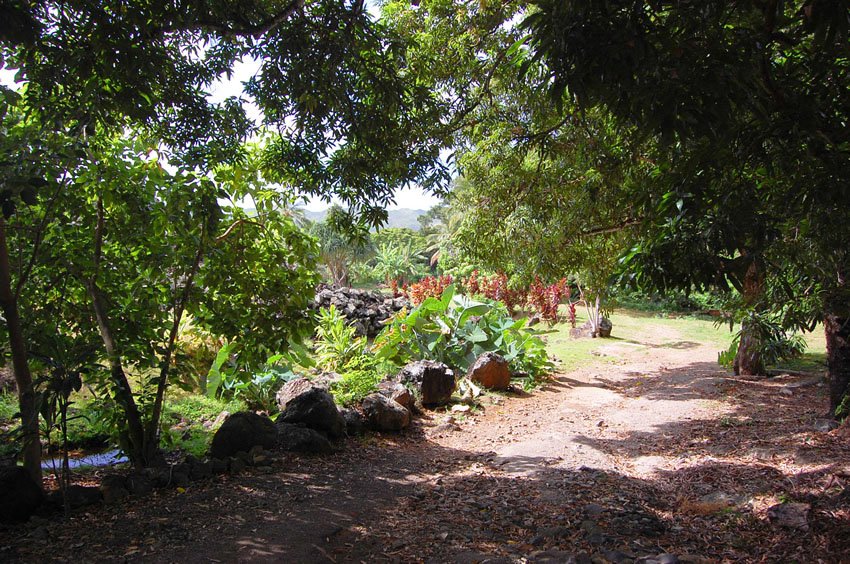 Walkway to the garden