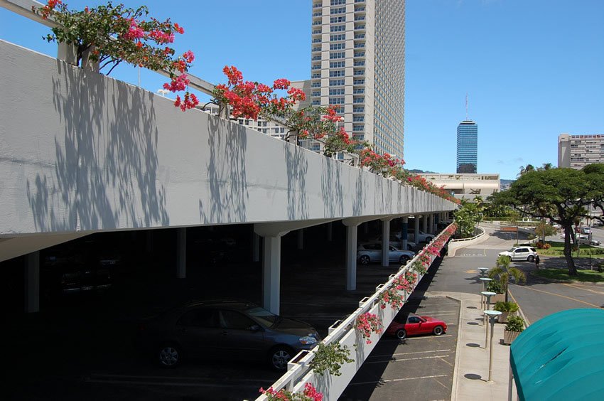 Honolulu city view from the parking lot