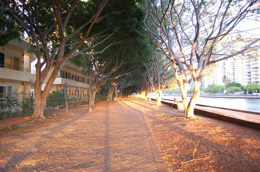 Ala Wai at sunset