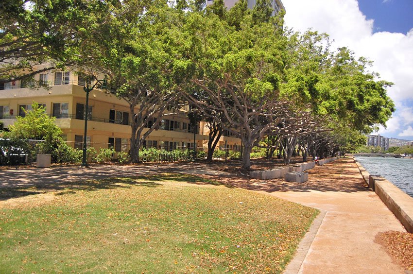 Residential building at Ala Wai canal