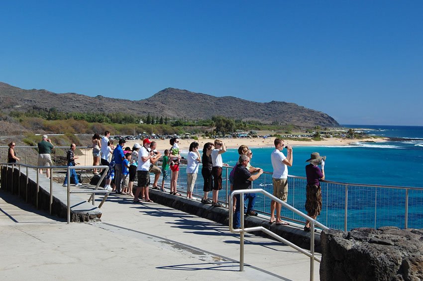 The blowhole in action