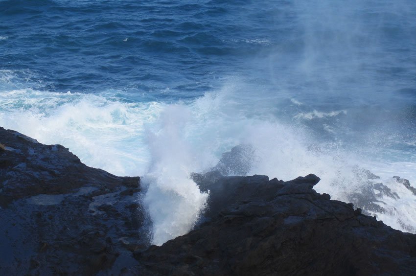 The blowhole in action