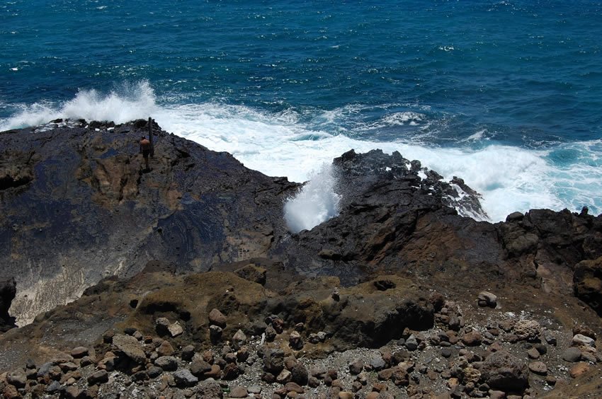 Water shoots up the blowhole