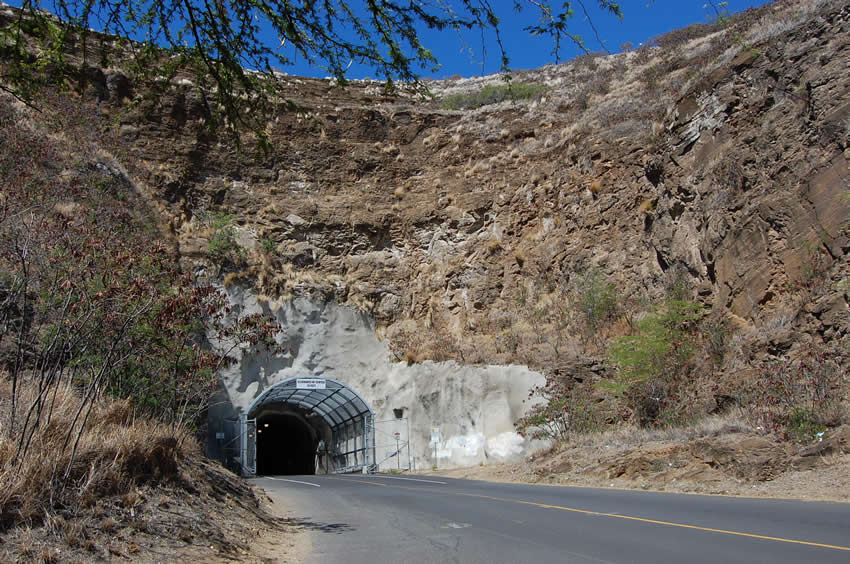 Entry tunnel to the park