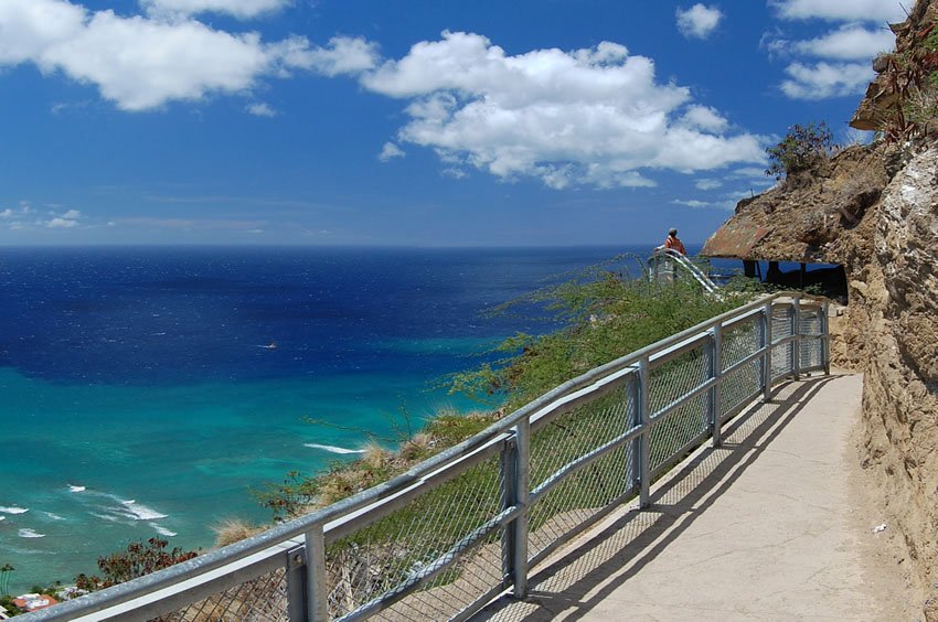 View from Diamond Head