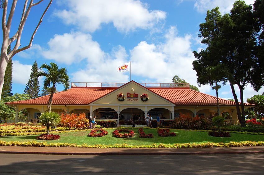 Dole Plantation on Oahu