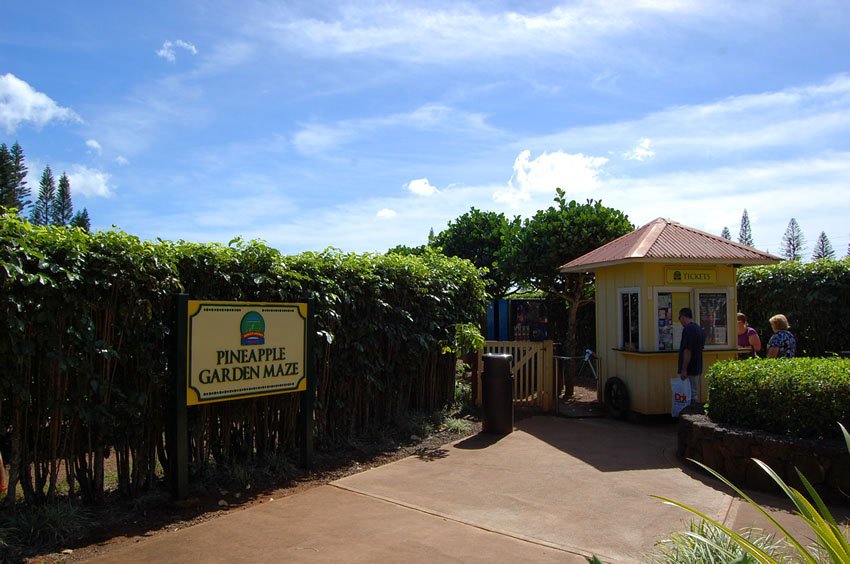 Entrance to Pineapple Garden Maze