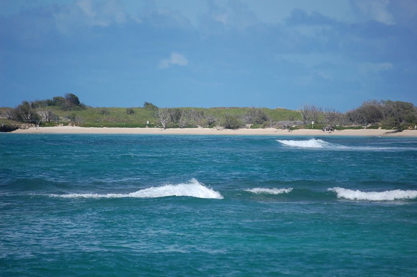 Goat Island Beach