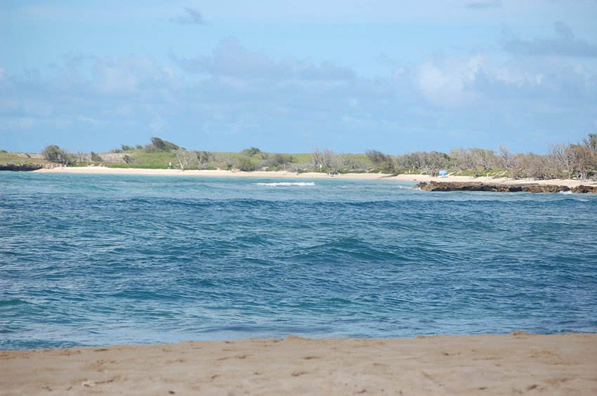 View to the beach