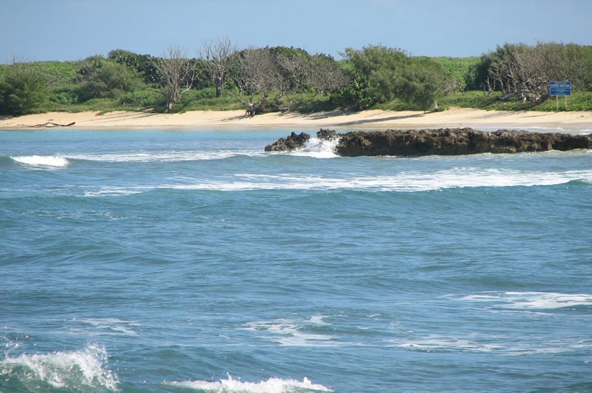 White sand beach