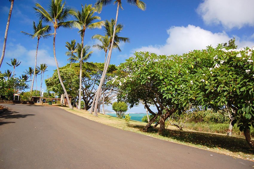 Road with ocean view