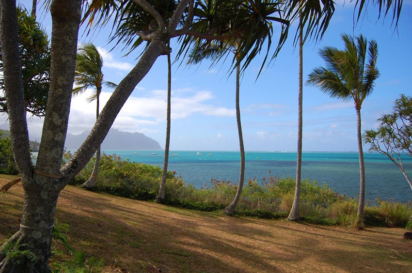 Scenic Oahu park