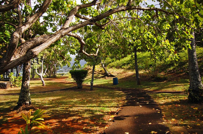 Walkway in the park