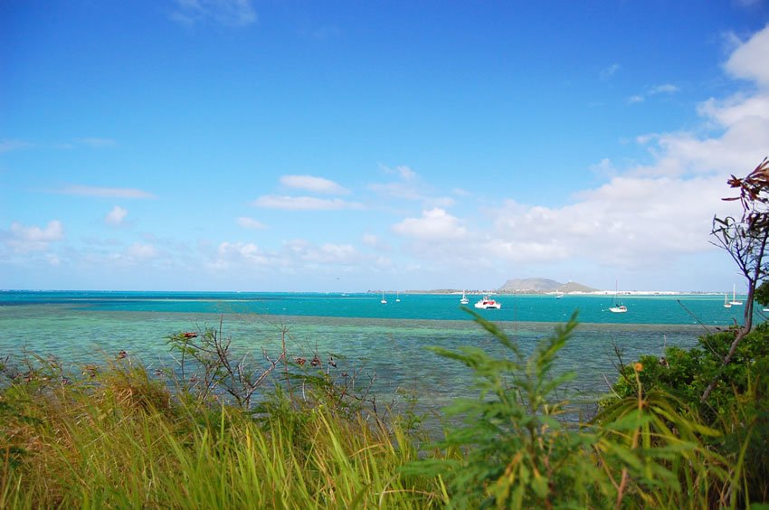 View to Kaneohe Bay