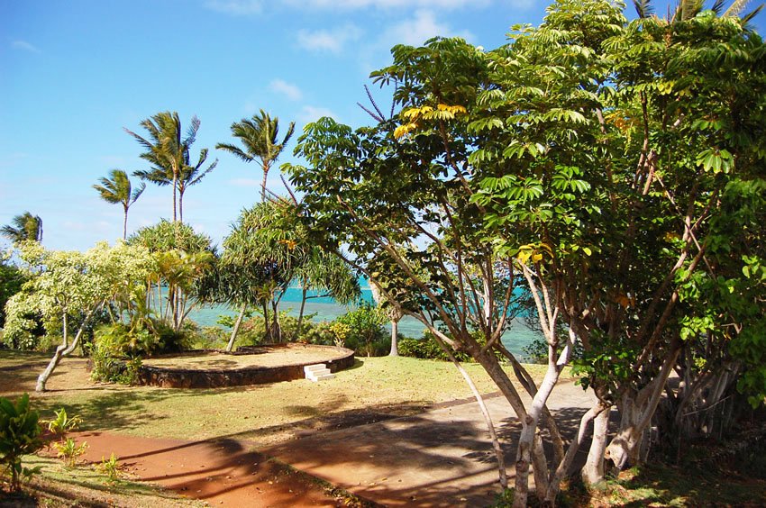 Park with many trees