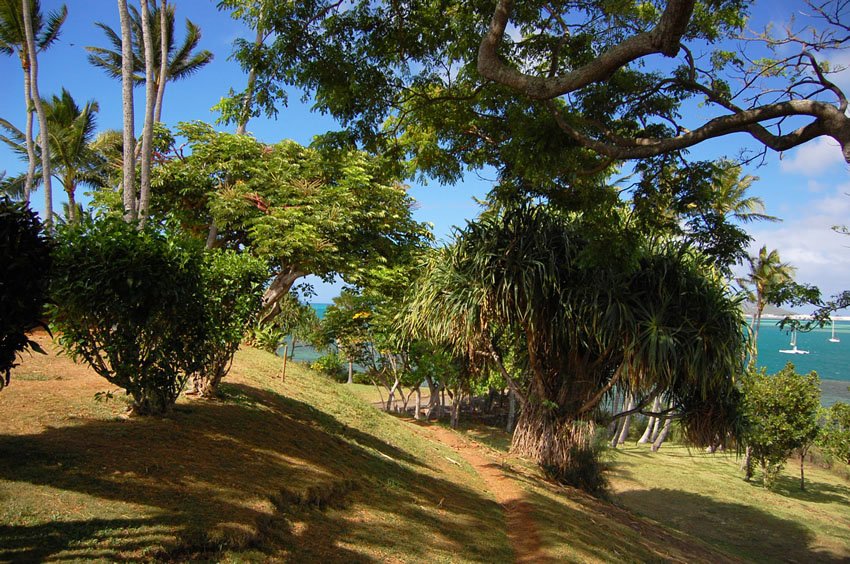 Short park trail