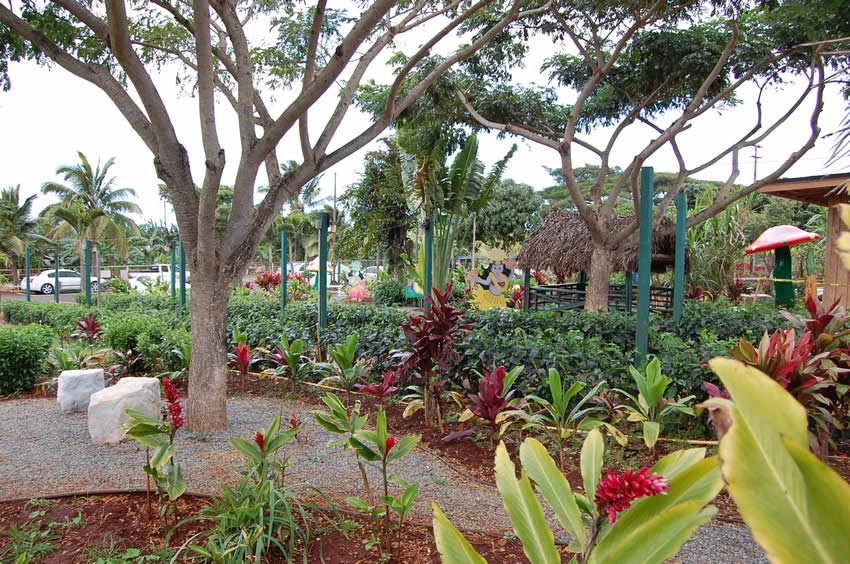 Tropical garden