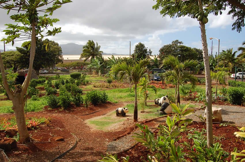 Exploring Helemano Plantation garden