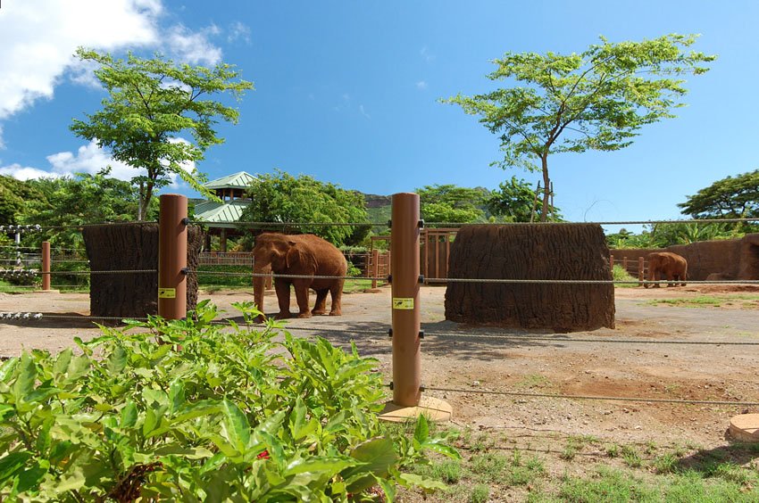 Honolulu Zoo in Waikiki