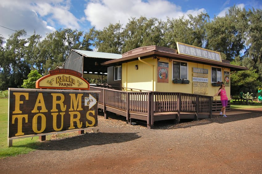 Kahuku Farms