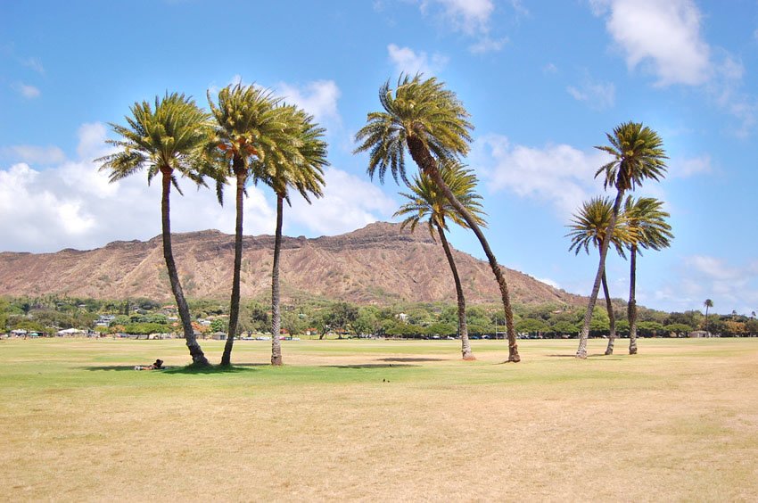 Kapiolani Park