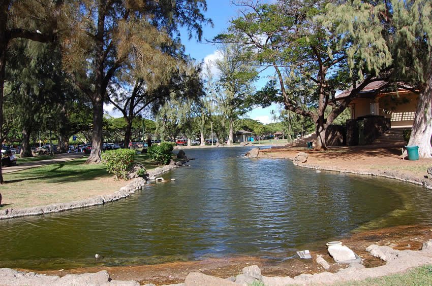 Kapiolani Park on Oahu