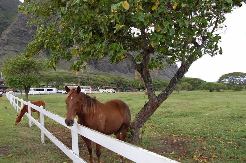 Kualoa Ranch on Oahu