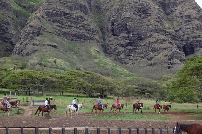 Horseback riding tour