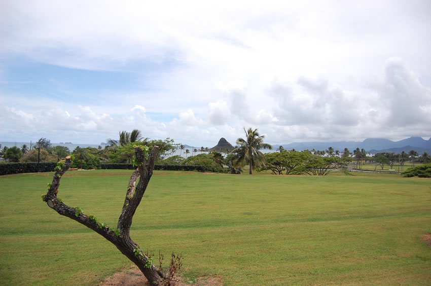 View to Chinaman's Hat