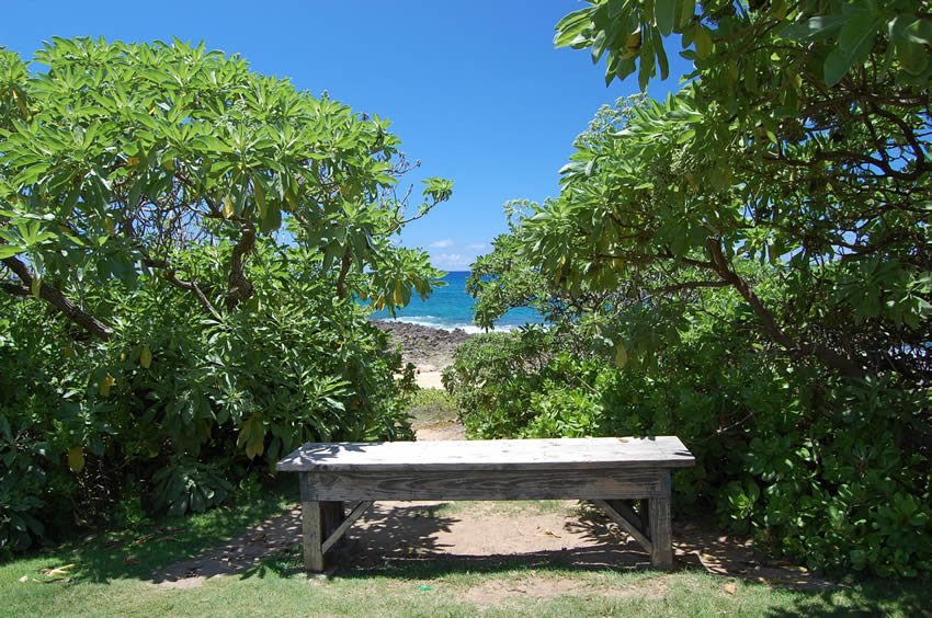 Bench with a view