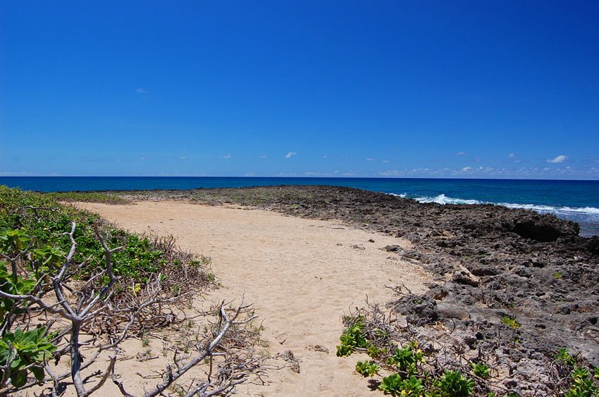 Kuilima Point scenery