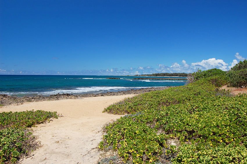 Kuilima Point scenery