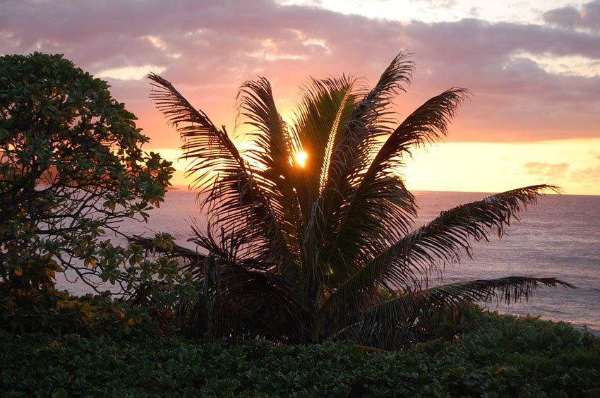 Kuilima Point sunset