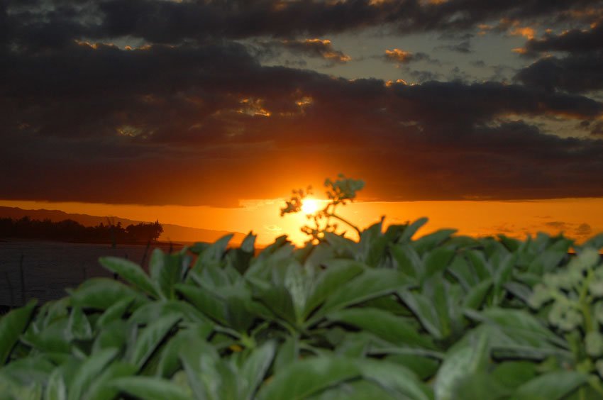 Kuilima Point sunset