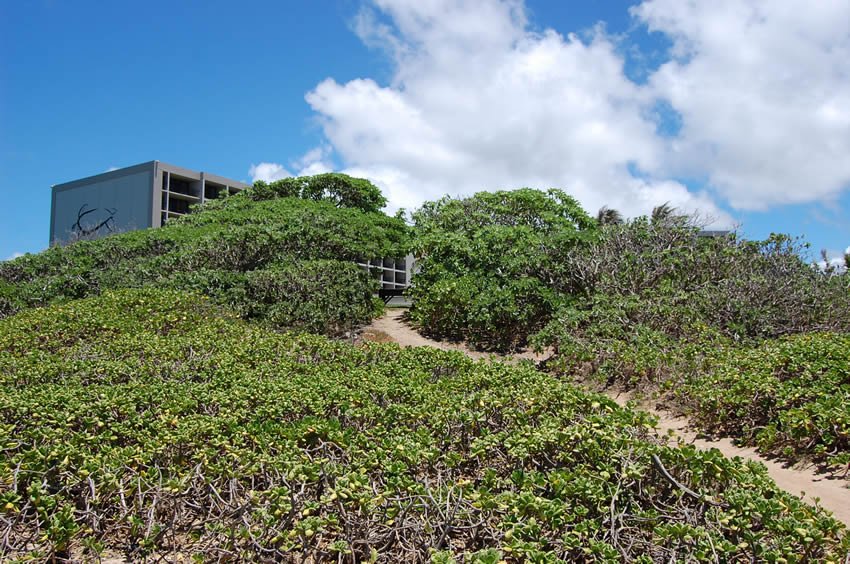 Kuilima Point trail