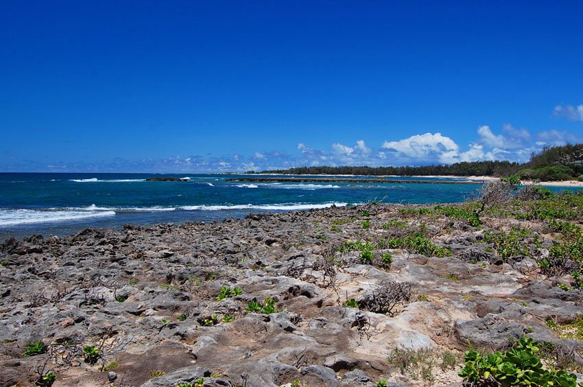 Rocky shoreline