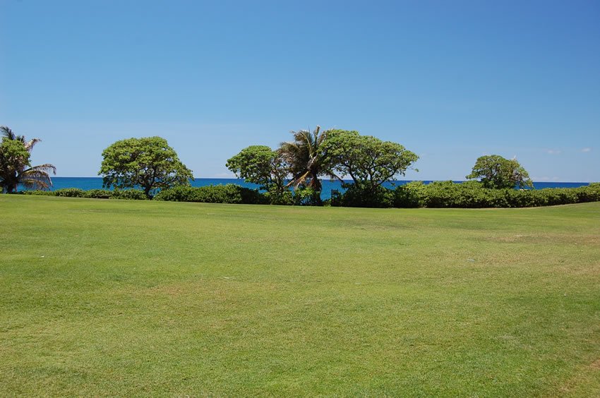 Turtle Bay Resort grounds