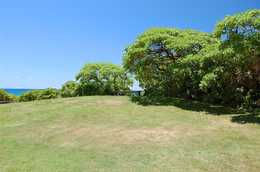 Turtle Bay Resort grounds